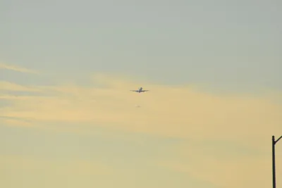 DSC_5684 (Large).JPG